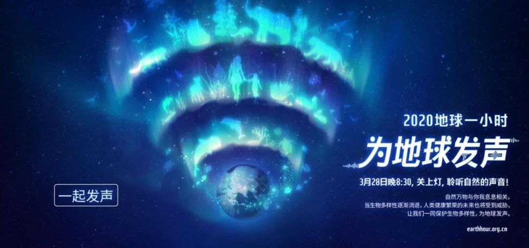 環(huán)保進(jìn)行時(shí) | 華洲木業(yè)，用行動(dòng)為地球發(fā)聲(圖1)