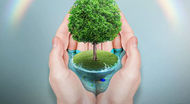 華洲木業(yè)，正在崛起的環(huán)保王國(guó)