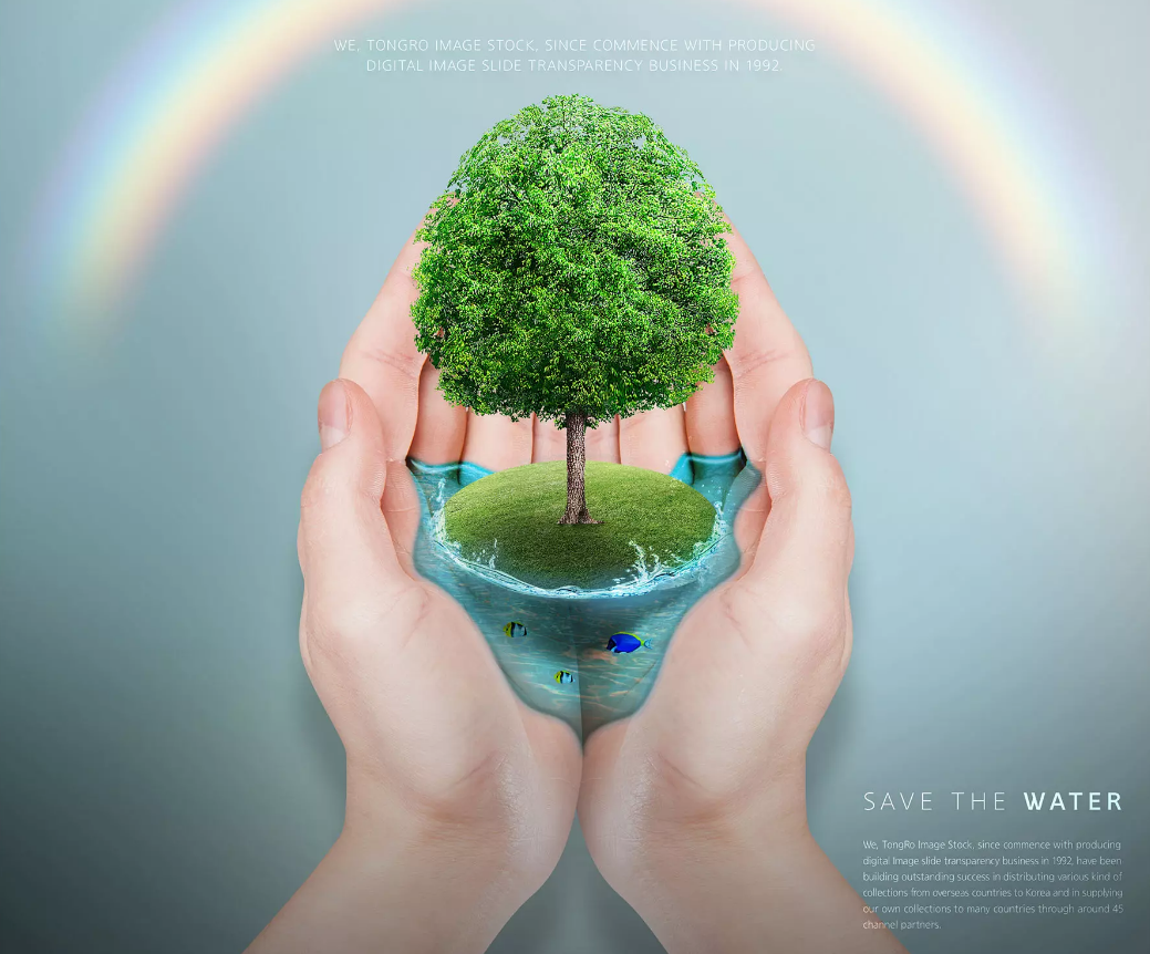 華洲木業(yè)，正在崛起的環(huán)保王國(圖1)