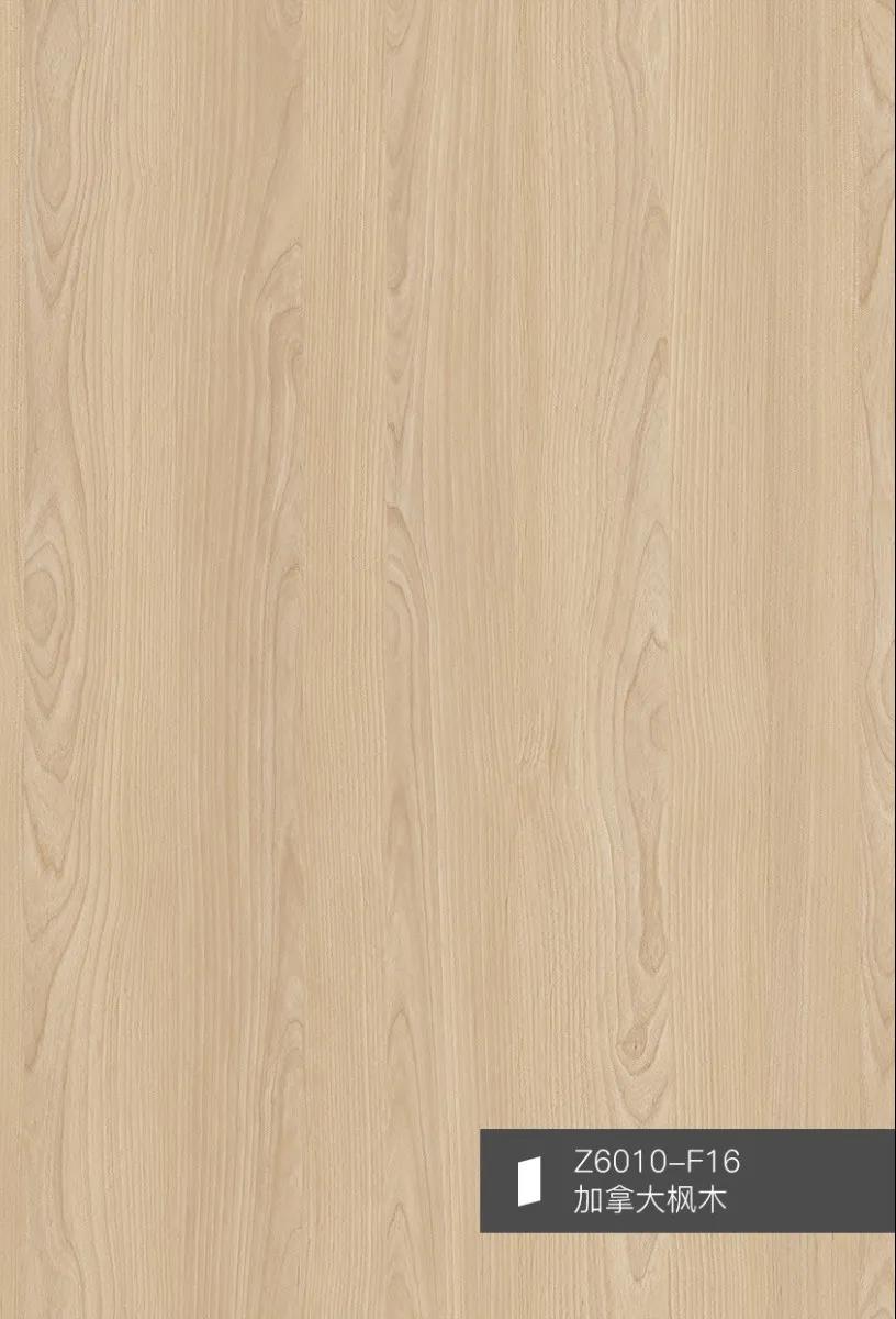 2022華洲花色推薦 | 一月 X 萬象伊始(圖7) 2022華洲花色推薦 | 一月 X 萬象伊始(圖7)