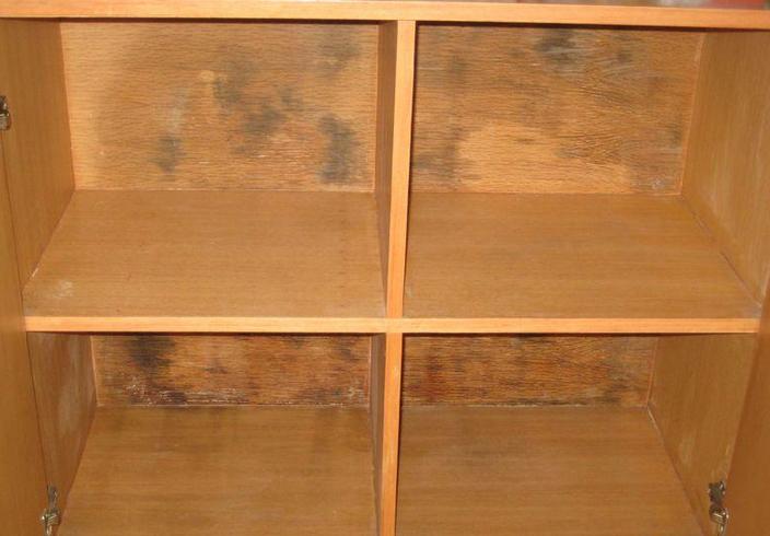 家具霉變.jpg 家具霉變.jpg