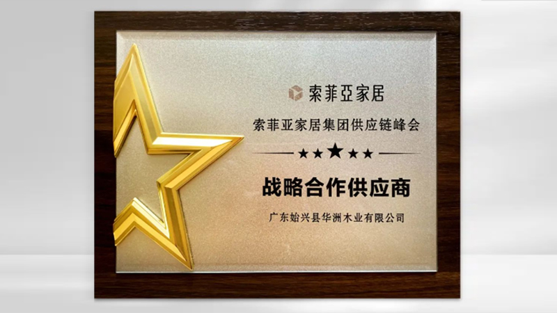 【品牌實(shí)力】華洲：創(chuàng)新引領(lǐng)，品質(zhì)鑄就傳奇(圖5)